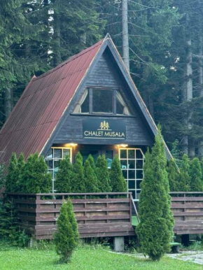 Chalet Musala Borovets